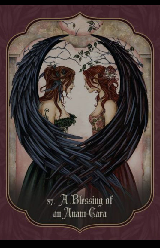 Fairy Blessing Cards by Lucy Cavendish