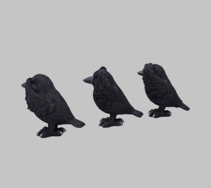 Three Wise Ravens by Nemesis Now