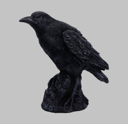 Raven Messenger by Nemesis Now