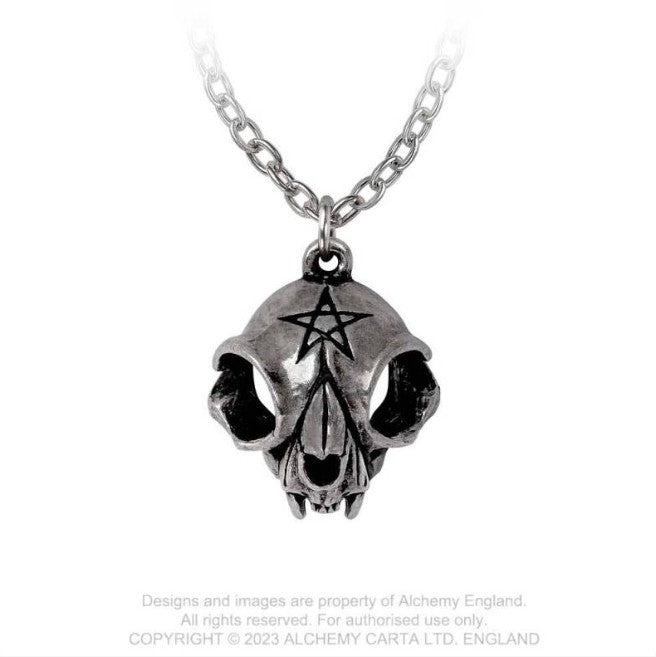 Forever My Friend Pendant by Alchemy Gothic