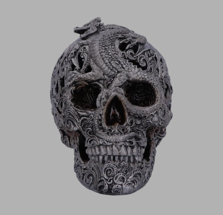 Cranial Drakos Silver Skull by Nemesis Now