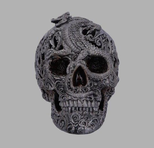Cranial Drakos Silver Skull by Nemesis Now