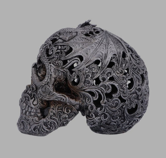 Cranial Drakos Silver Skull by Nemesis Now