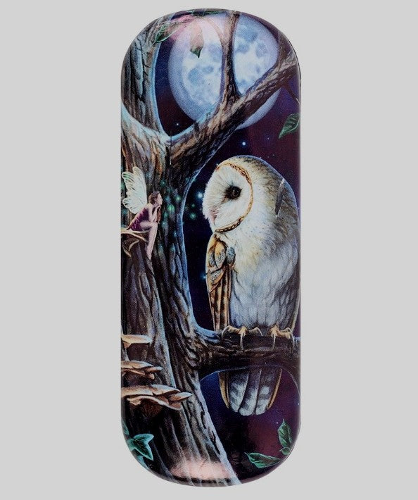 Fairy Tales Glasses Case by Lisa Parker