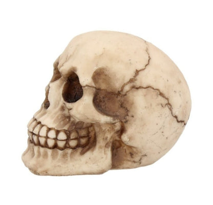 The Joker Skull
