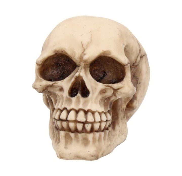 The Joker Skull