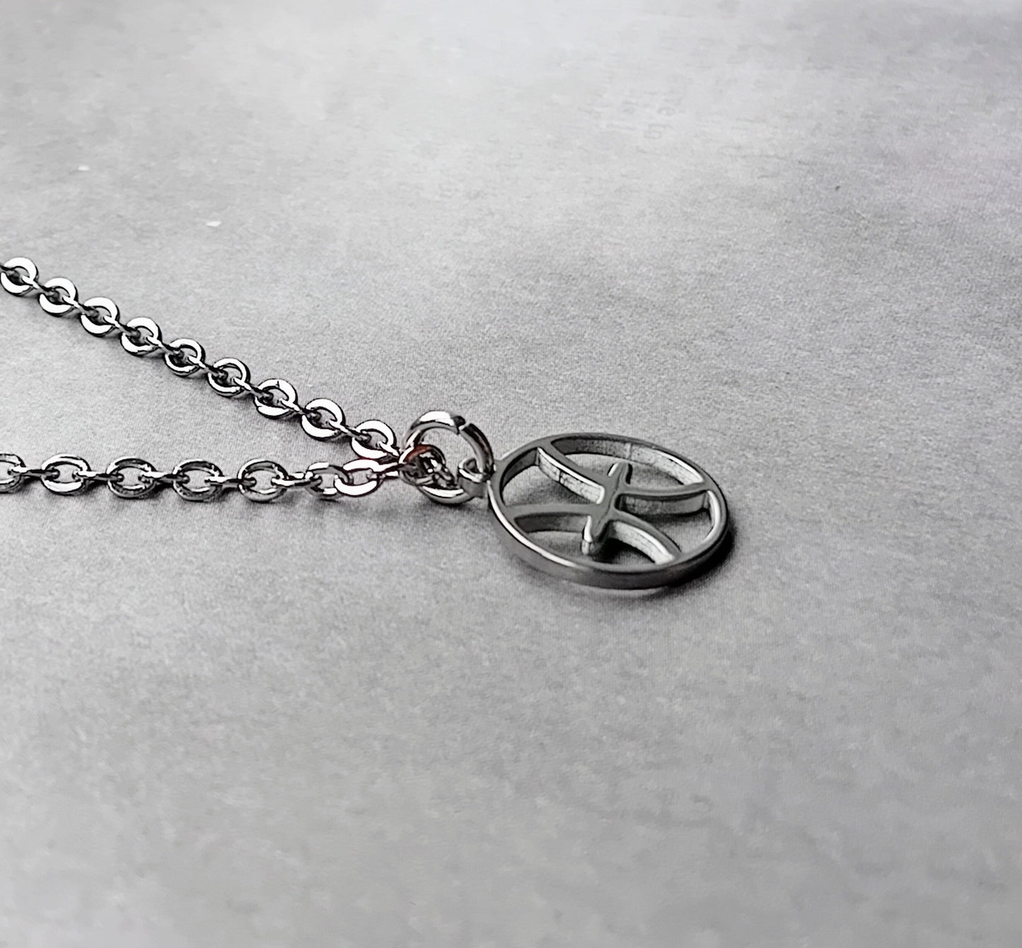 Pisces Steel Necklace
