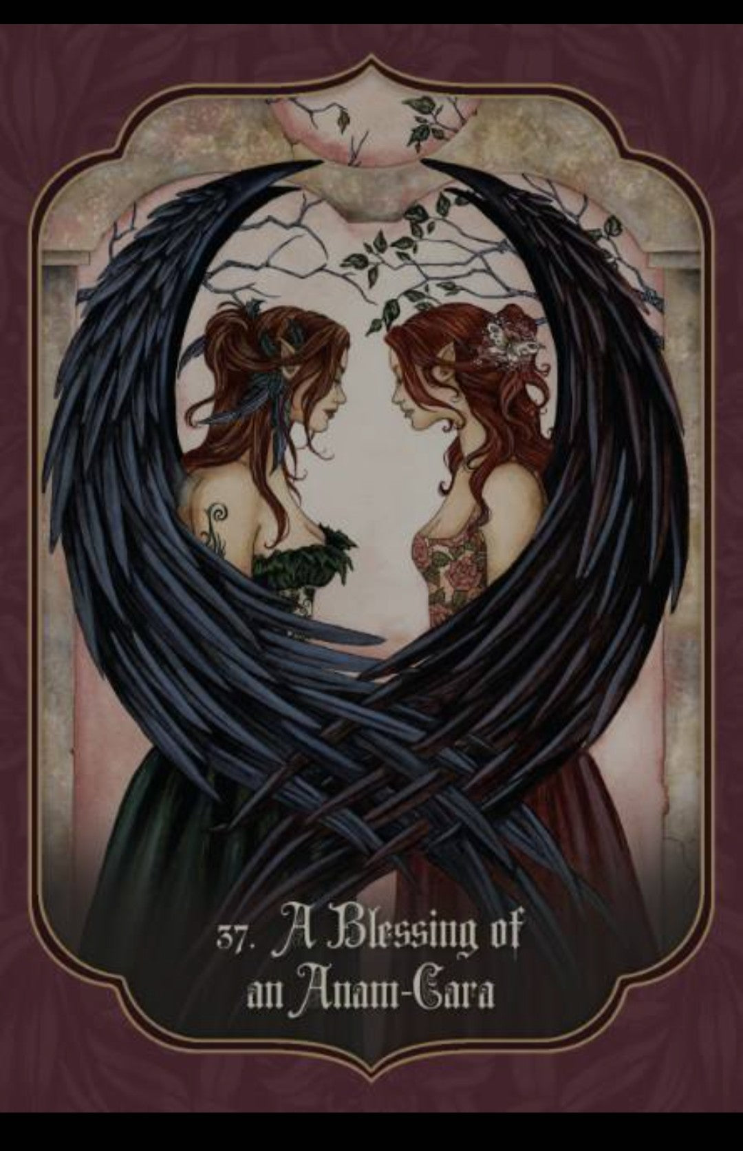 Fairy Blessing Cards by Lucy Cavendish