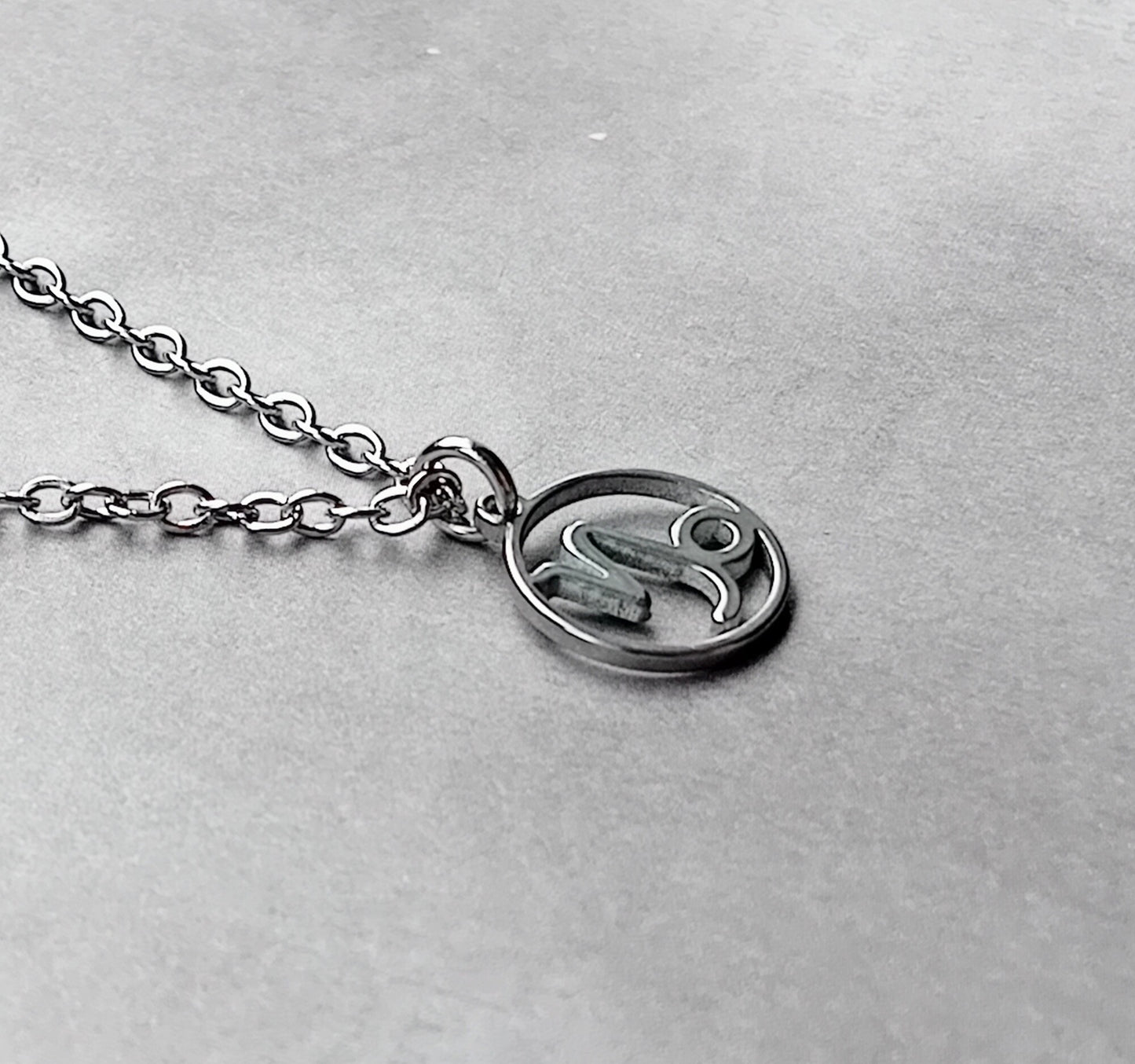 Capricorn Steel Necklace