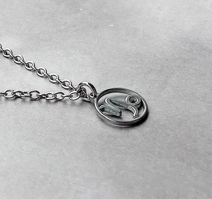 Capricorn Steel Necklace