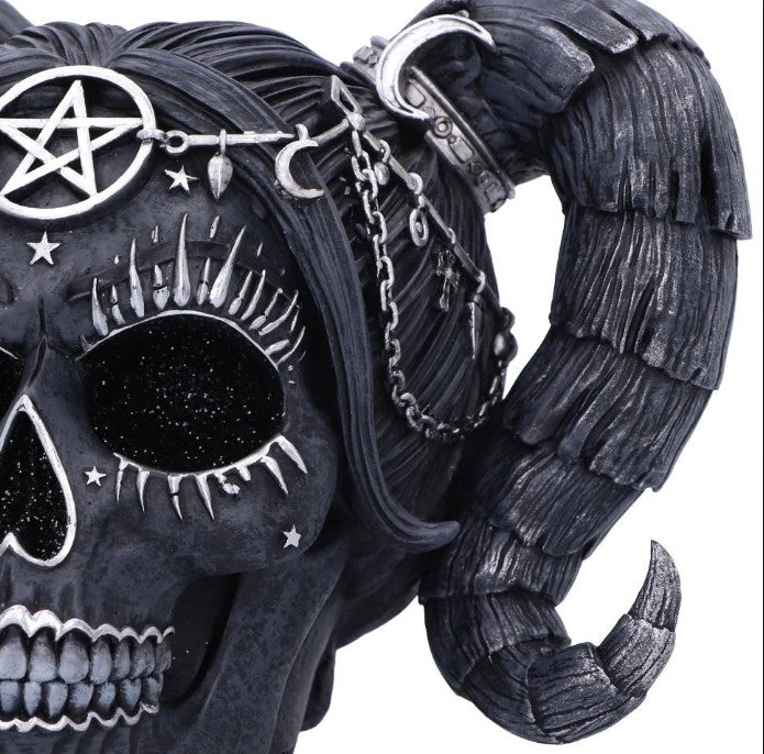 Solve and Coagula Drop Dead Gorgeous Skull