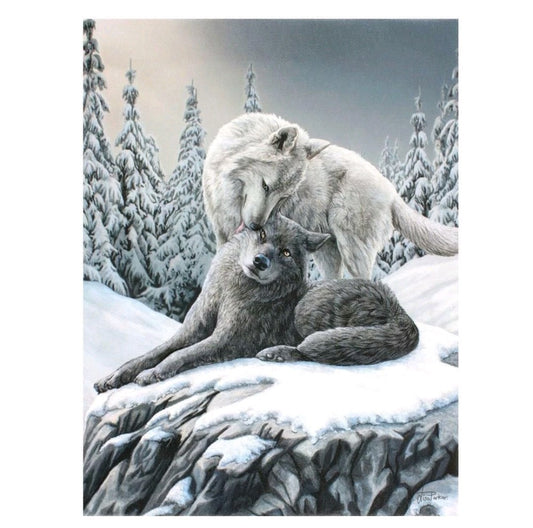 Snow Kisses Wolf Canvas by Lisa Parker