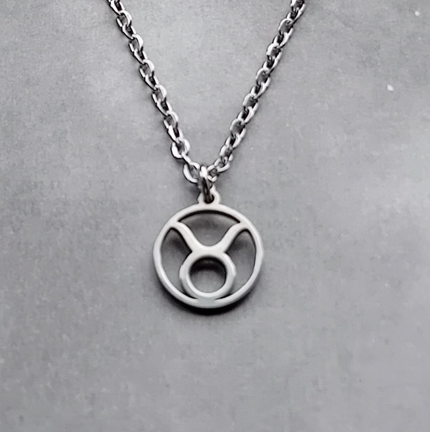Taurus Steel Necklace