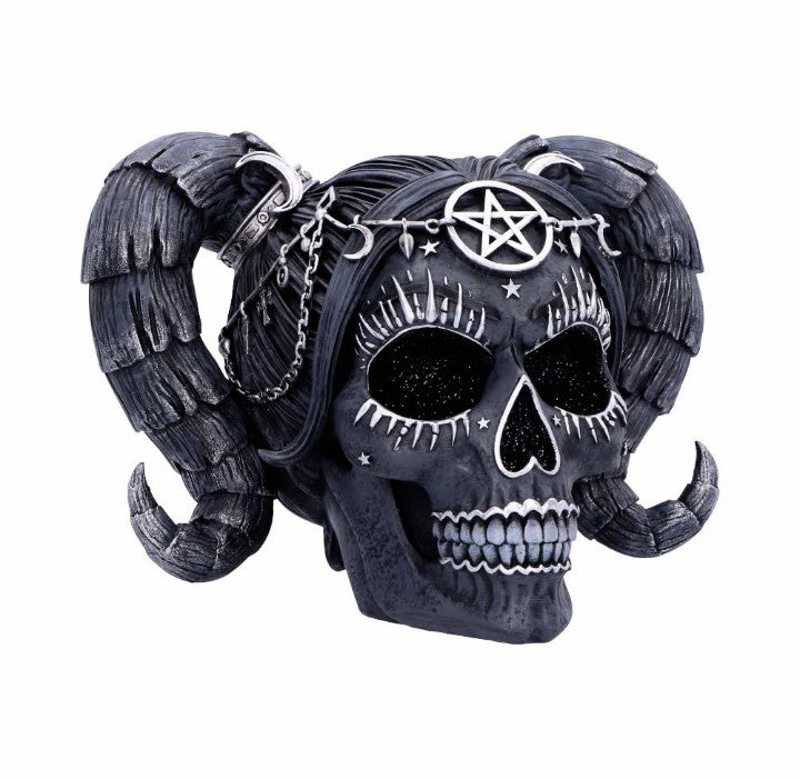 Solve and Coagula Drop Dead Gorgeous Skull