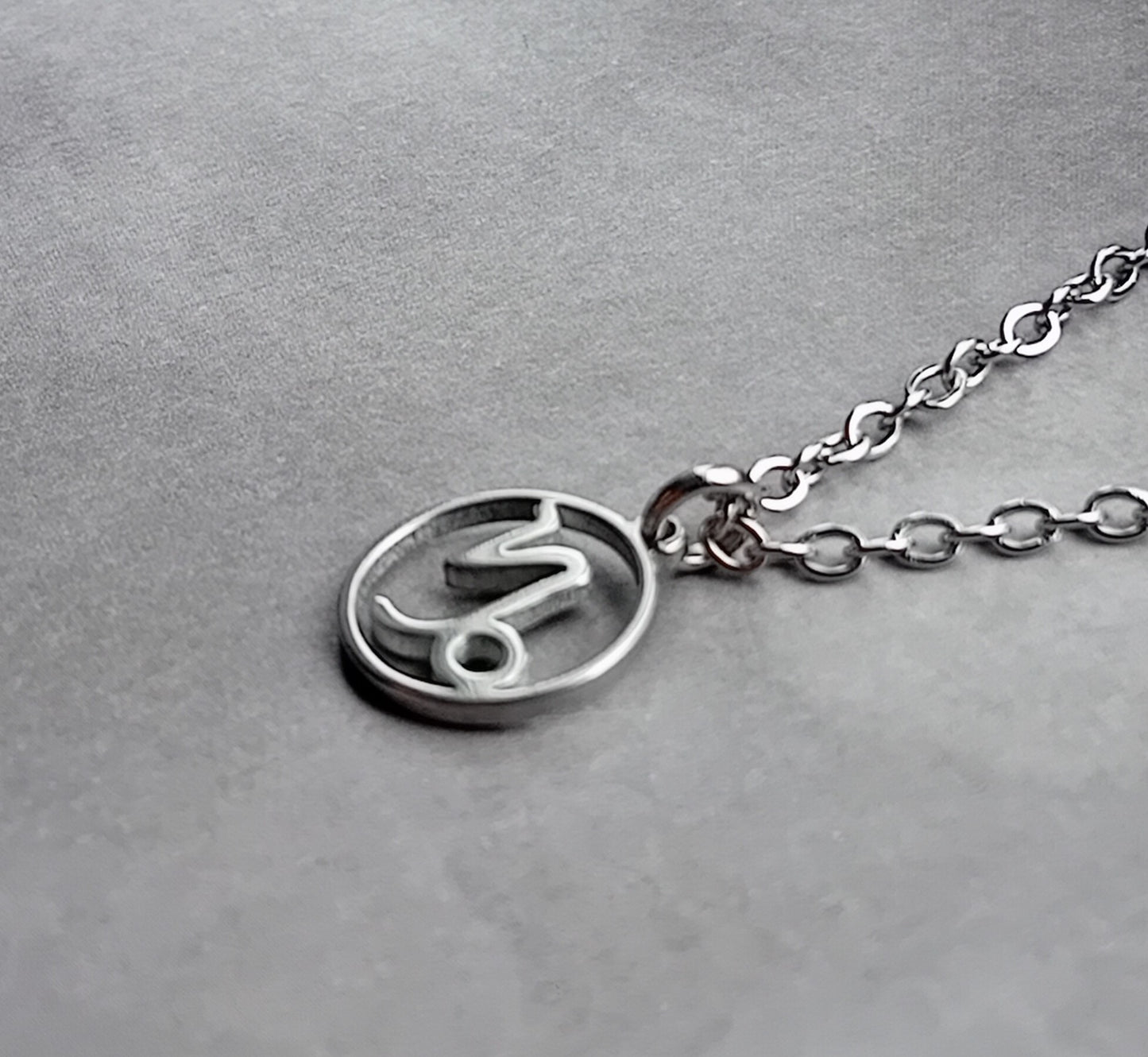 Capricorn Steel Necklace