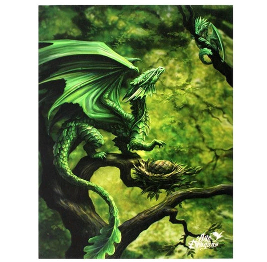 Forest Dragon Canvas by Anne Stokes
