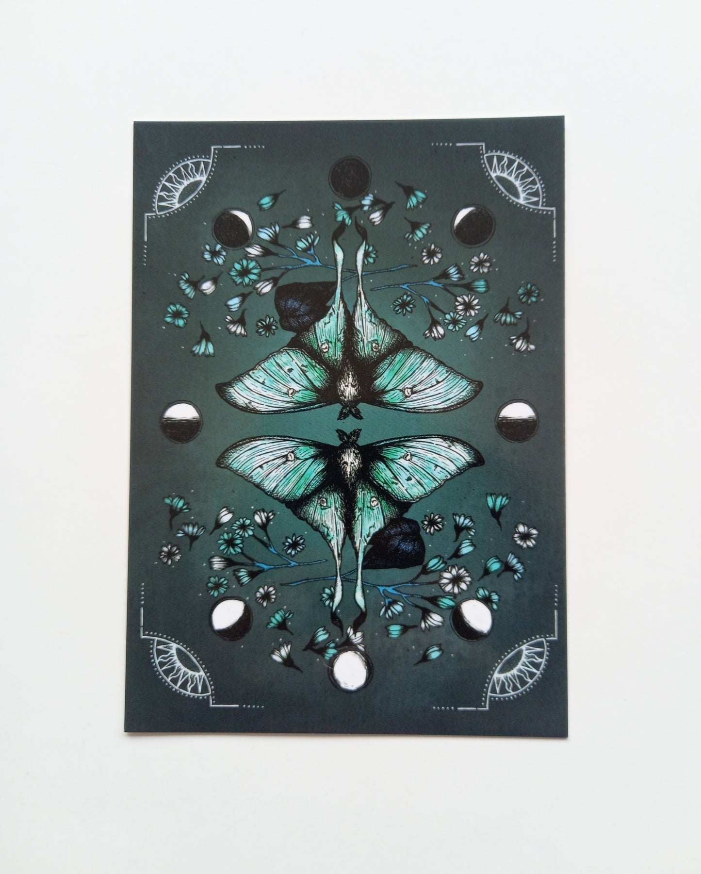 Lunar Moth Postcard Mini Print