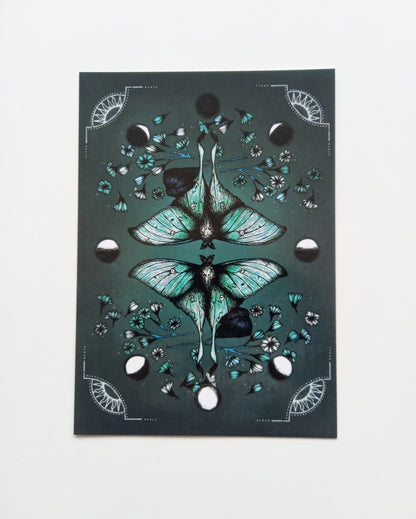 Lunar Moth Postcard Mini Print
