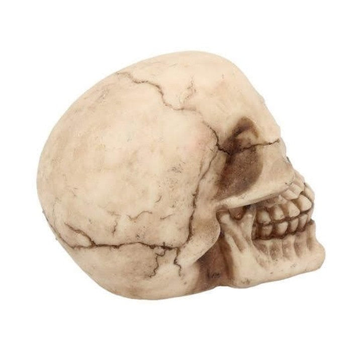 The Joker Skull