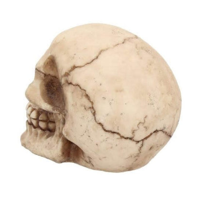 The Joker Skull