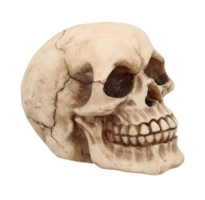 The Joker Skull