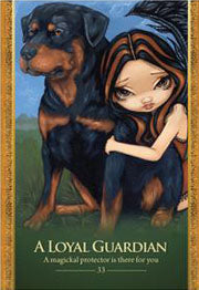 Oracle of the Shapeshifters by Lucy Cavendish & Jasmine Becket-Griffith